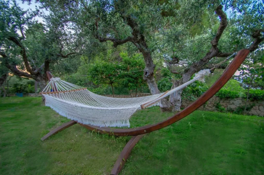 Hammock in the olive grove
